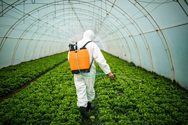 Professional Pest Control in North Massapequa, NY