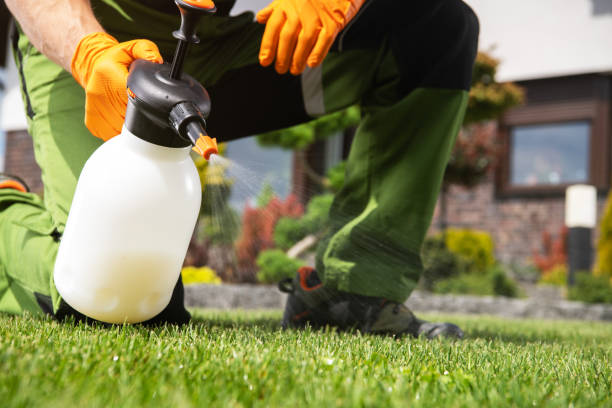 Best Pest Prevention Services  in North Massapequa, NY