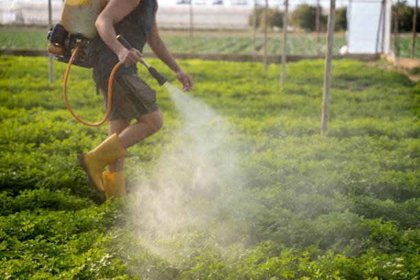Best Local Pest Control Services  in North Massapequa, NY