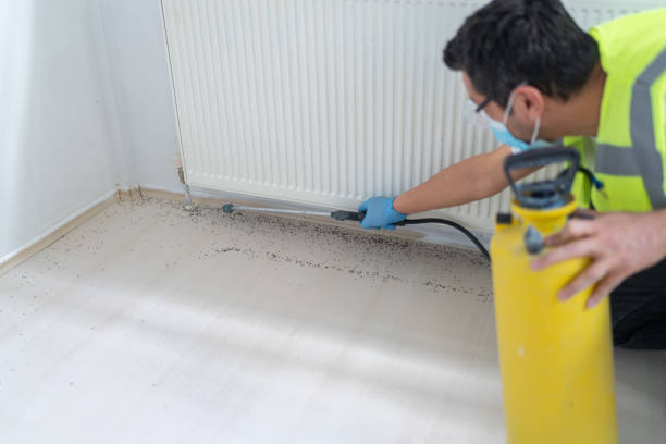 Best Termite Control Services  in North Massapequa, NY
