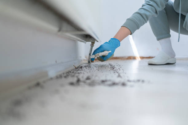 Trusted North Massapequa, NY Pest Control Experts