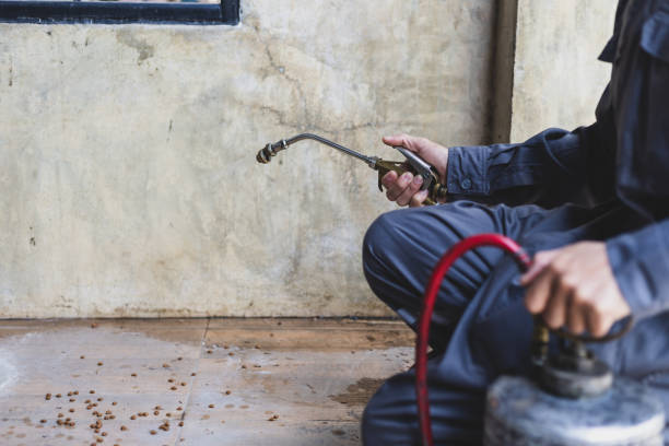 Pest Control Cost in North Massapequa, NY